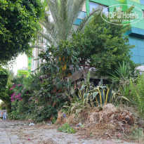 фото из отзыва ID 2290705