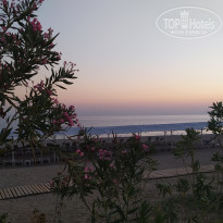 фото из отзыва ID 2290919