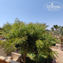 фото из отзыва ID 2290925