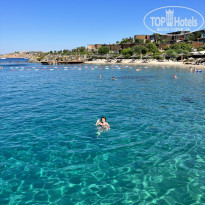 фото из отзыва ID 2291106