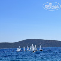 фото из отзыва ID 2291106