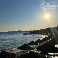 фото из отзыва ID 2291106