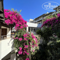 фото из отзыва ID 2291106