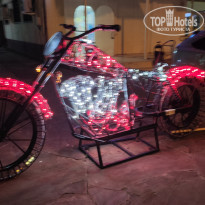 фото из отзыва ID 2291145