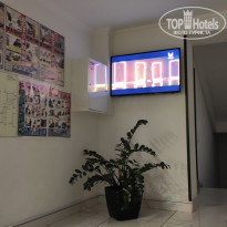 фото из отзыва ID 2291145