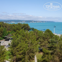 фото из отзыва ID 2291131