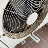 фото из отзыва ID 2291169