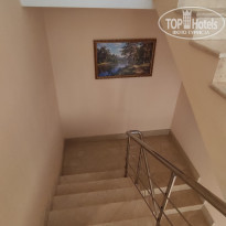 фото из отзыва ID 2291173