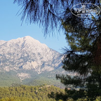 фото из отзыва ID 2291184