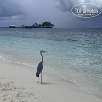 фото из отзыва ID 2291213