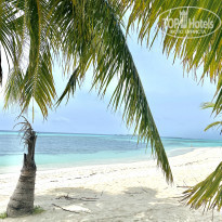 фото из отзыва ID 2291213