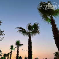 фото из отзыва ID 2291367