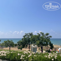 фото из отзыва ID 2291367