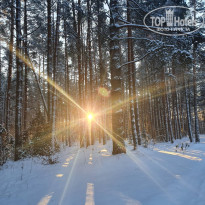 фото из отзыва ID 2291390