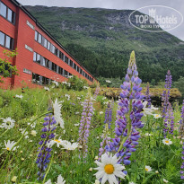 фото из отзыва ID 2291403