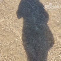 фото из отзыва ID 2291623