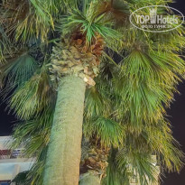 фото из отзыва ID 2291623