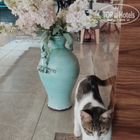 фото из отзыва ID 2291623