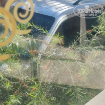 фото из отзыва ID 2291623