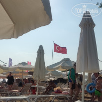 фото из отзыва ID 2291623