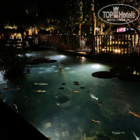 фото из отзыва ID 2291438