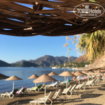 фото из отзыва ID 2291842