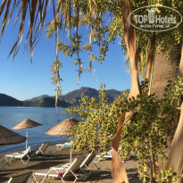 фото из отзыва ID 2291842