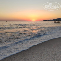 фото из отзыва ID 2291998