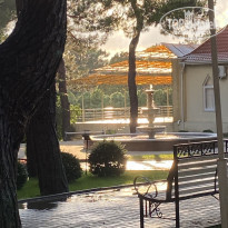 фото из отзыва ID 2292075