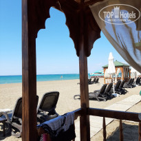 фото из отзыва ID 2292205