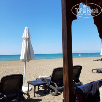 фото из отзыва ID 2292205