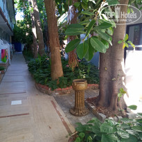 фото из отзыва ID 2292284