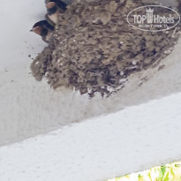 фото из отзыва ID 2292284