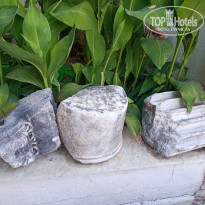 фото из отзыва ID 2292284