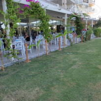 фото из отзыва ID 2292497