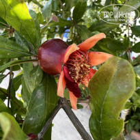 фото из отзыва ID 2292567