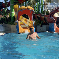 фото из отзыва ID 2292610