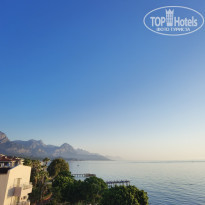 фото из отзыва ID 2293001