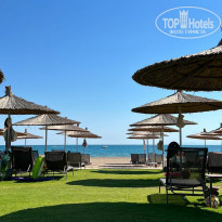 фото из отзыва ID 2293140