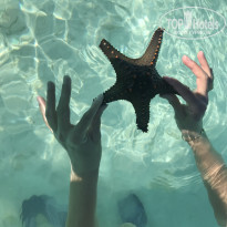 фото из отзыва ID 2292868