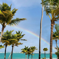 фото из отзыва ID 2293158