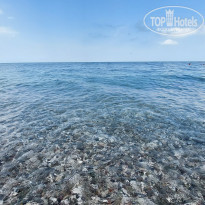 фото из отзыва ID 2293225