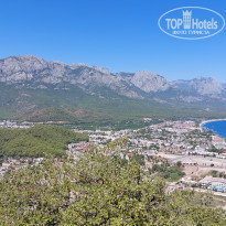 фото из отзыва ID 2293225