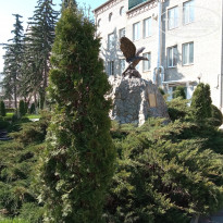 фото из отзыва ID 2293307