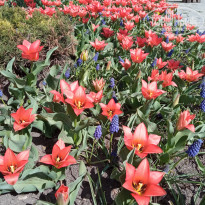 фото из отзыва ID 2293307