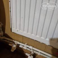 фото из отзыва ID 2293390