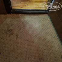 фото из отзыва ID 2293390