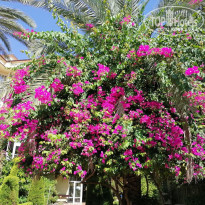 фото из отзыва ID 2293479