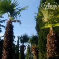 фото из отзыва ID 2293518