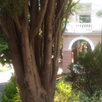 фото из отзыва ID 2293518